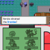 Pokémon Platinum Version - Screenshot #4