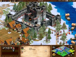 Age of Empires 2: Age of Kings and The Conquerers screenshot 4