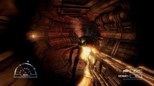 Aliens vs. Predator screenshot 2