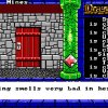 Dragon Wars - Screenshot #5