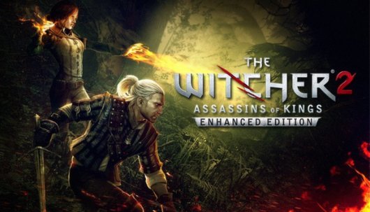 The Witcher 2: Assassins of Kings - Game Poster