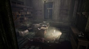 Lunacy: Saint Rhodes screenshot 8