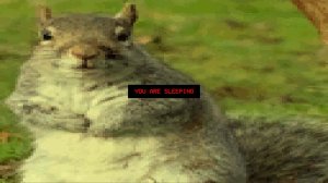 Squirrel Stapler screenshot 2