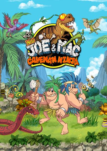 New Joe & Mac - Caveman Ninja