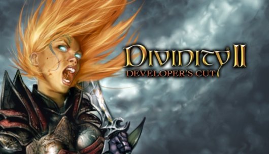 Divinity II: Developer’s Cut - Game Poster