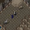Ultima Online: Renaissance - Screenshot #1