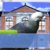 Hatoful Boyfriend - Screenshot #3