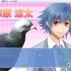 Hatoful Boyfriend - Screenshot #4