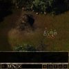 Baldur’s Gate II: Enhanced Edition - Screenshot #11