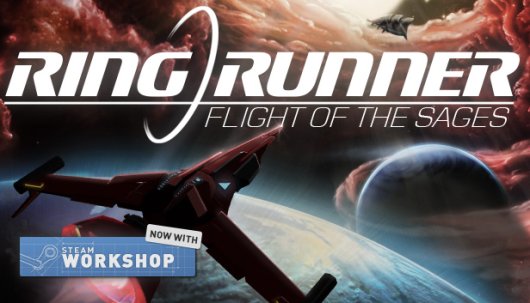 Ring Runner: Flight of the Sages - Game Poster