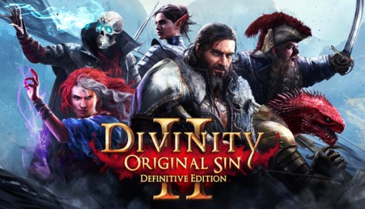 Divinity: Original Sin - Game Poster