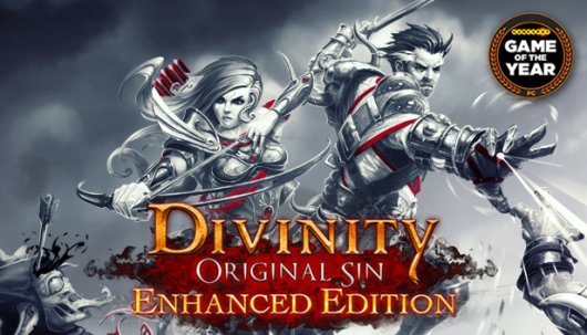 Divinity: Original Sin - Enhanced Edition - Game Poster