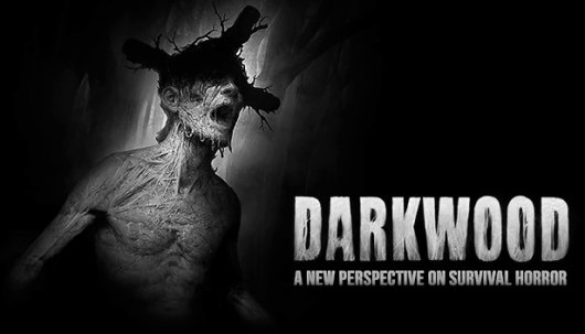 Darkwood - Game Poster