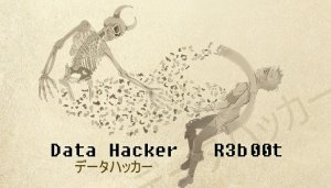 Data Hacker: Reboot