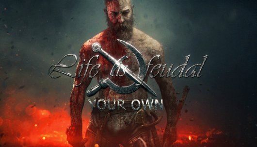 Life is Feudal: Your Own - Game Poster