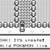 Pokémon Red Version - Screenshot #2