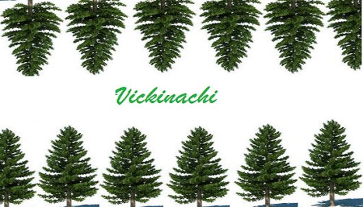 Vickinachi - Game Poster