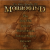 The Elder Scrolls III: Morrowind - Screenshot #3