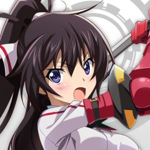 Infinite Stratos: Archetype Breaker