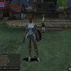 Lineage II: The Chaotic Chronicle - Screenshot #2