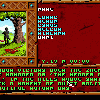 Treasures of the Savage Frontier - Screenshot #9