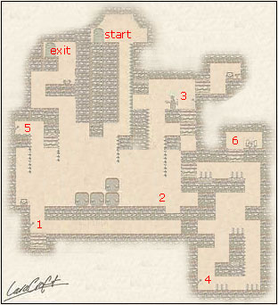Level 7 - Tree Of Life