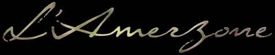 amerzone.jpg (8627 bytes)