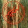 imm2.jpg (9515 bytes)