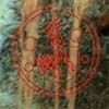 imm3.jpg (10224 bytes)