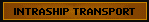 Intership Transport Icon